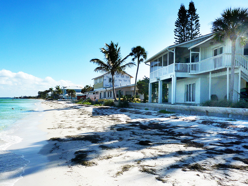 Florida Real Estate 1