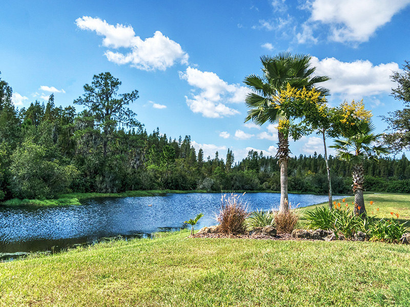 Florida Real Estate 7