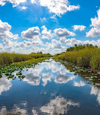 Hudson Florida homes for sale or investment